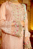 Adan's Libas Ravia Schiffli Embroidered Chiffon Collection – Gul e Afroz
