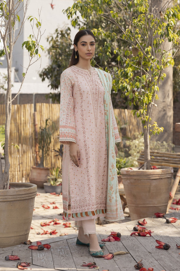 Aabyaan | Eid Pret 25 | VANYA AP-06