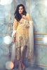 Rungrez Czarina - Surreal Luster Chiffon & Silk Collection – Pierian Honeycomb - YourLibaas
 - 1
