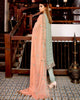 Poshak Luxury Chiffon Collection – D-068