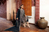 Poshak Luxury Chiffon Collection – D-071