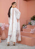 Poshak Sadabahar Embroidered Chiffon Collection – DN-02