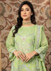 Poshak Mirha Embroidered Chiffon Collection – D-114