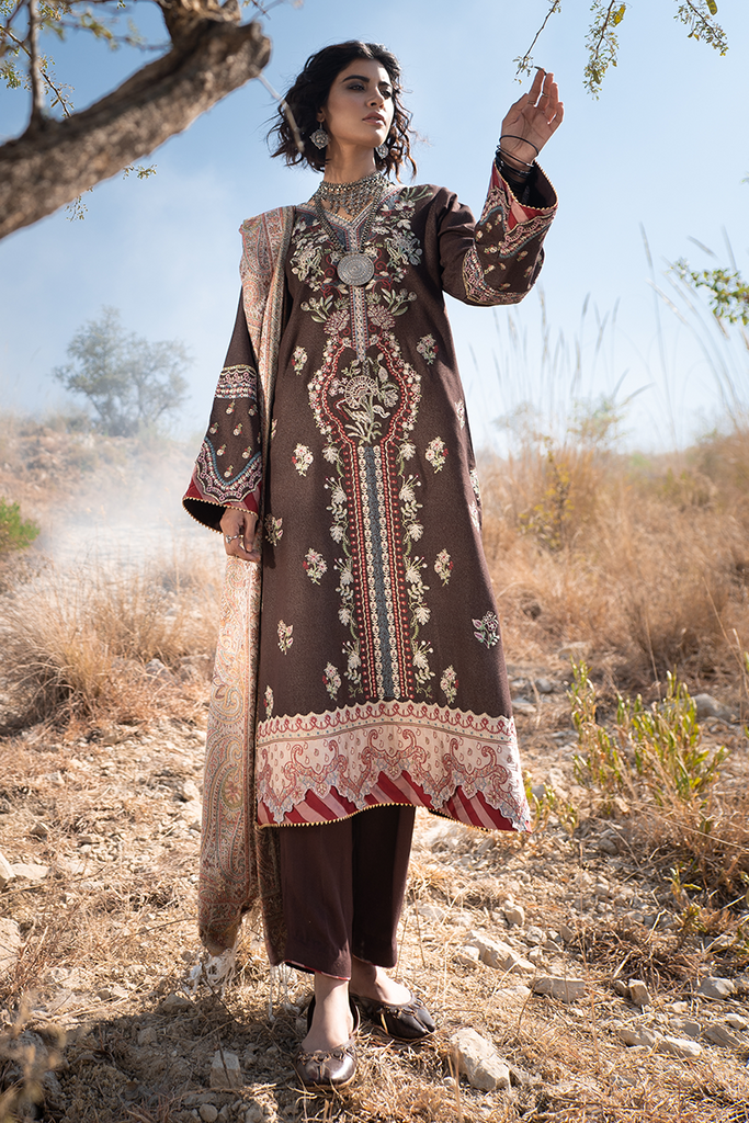 qalamkar luxury shawl collection
