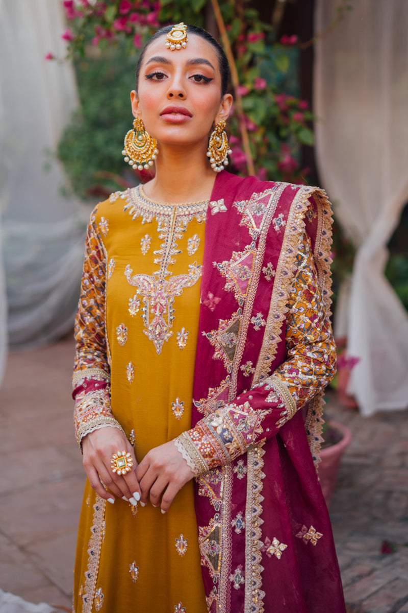 Qalamkar Mastani Luxury Formals – MT-02 INAYA – YourLibaas