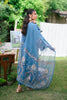 Qalamkar Qline Linen Collection – VL-10 ROOH