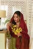 Qalamkar Qline Linen Collection – VL-14 ANJUM
