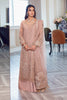 Rang Rasiya Ritzier Embroidered Wedding Series – AZAL