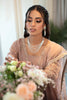 Rang Rasiya Ritzier Embroidered Wedding Series – AZAL