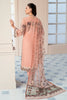 Ramsha Rangoon Luxury Chiffon Collection – D-901