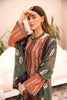 Ramsha Rangrez Luxury Lawn Collection Vol-2 – N-205