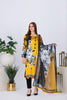 Ravishing Charmuse Silk 2Pc Collection 2021 – RCS-12