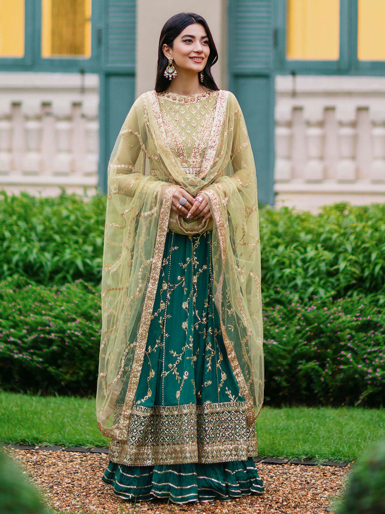 Roheenaz Aafreen Luxury Chiffon Collection – Chan Dani