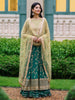 Roheenaz Aafreen Luxury Chiffon Collection – Chan Dani