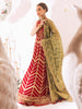 Roheenaz Sawariya Luxury Kalidaar Chiffon Formal Collection – DN-03