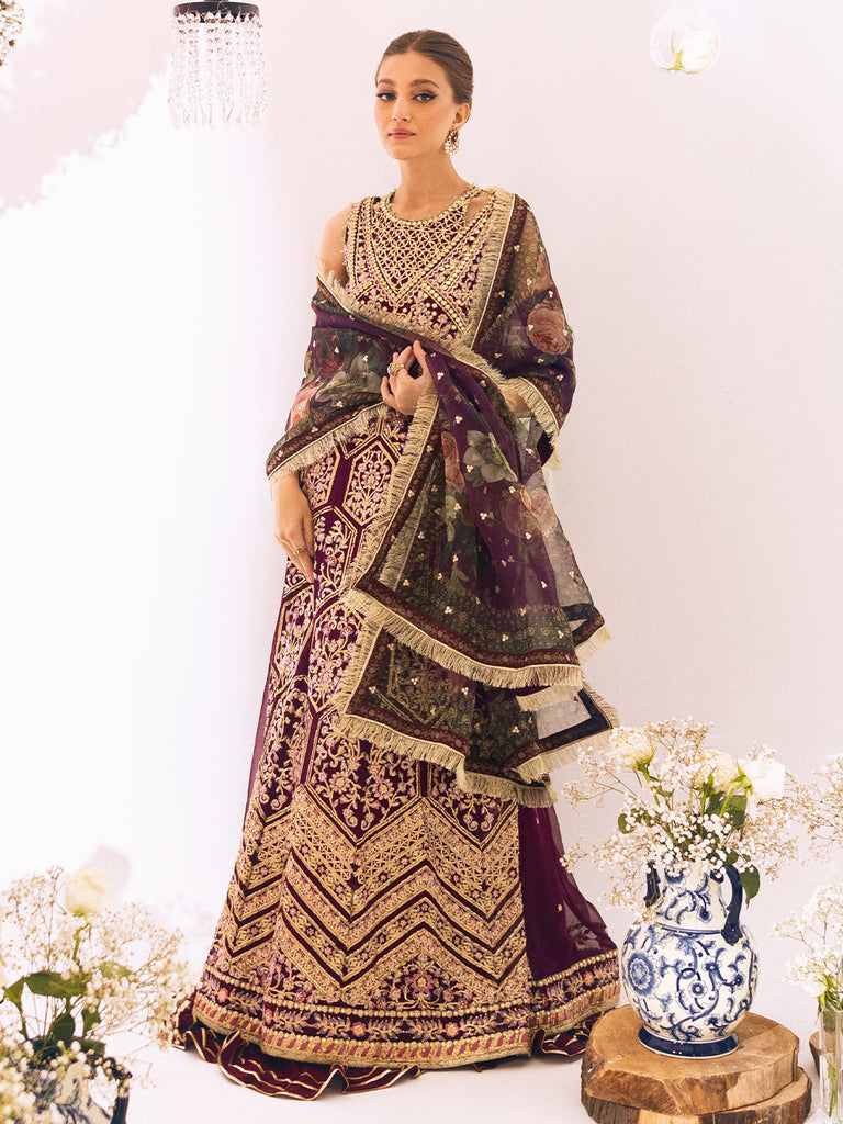 Roheenaz Sawariya Luxury Kalidaar Chiffon Formal Collection – DN-07