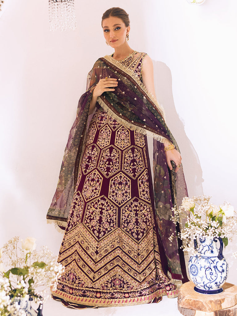 Roheenaz Sawariya Luxury Kalidaar Chiffon Formal Collection – DN-07
