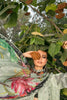 Shiza Hassan Izel Luxury Lawn Collection 2022 – 2-A Sashi