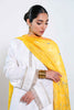 Zara Shahjahan Luxury Lawn Collection – SOHNI-B