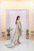 Tawakkal Gulrukh Lawn Collection 2022 – D-6801