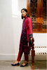 Zara Shahjahan Coco Winter Collection – ZW21-2A