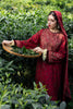 Zara Shahjahan Luxury Winter Collection (with Shawl) – WS22-Bahar