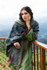 Zara Shahjahan Luxury Winter Collection (with Shawl) – WS22-Zoya