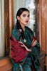 Zara Shahjahan Luxury Winter Collection (with Shawl) – Zeb