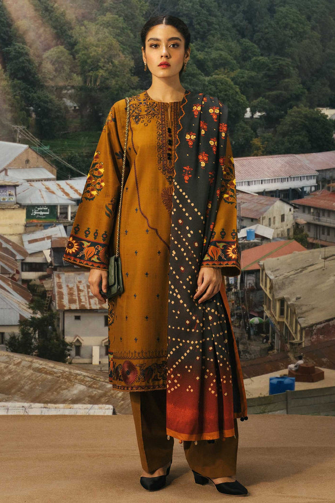 Zara Shahjahan Coco Winter Collection 2020 – ZW20-2A
