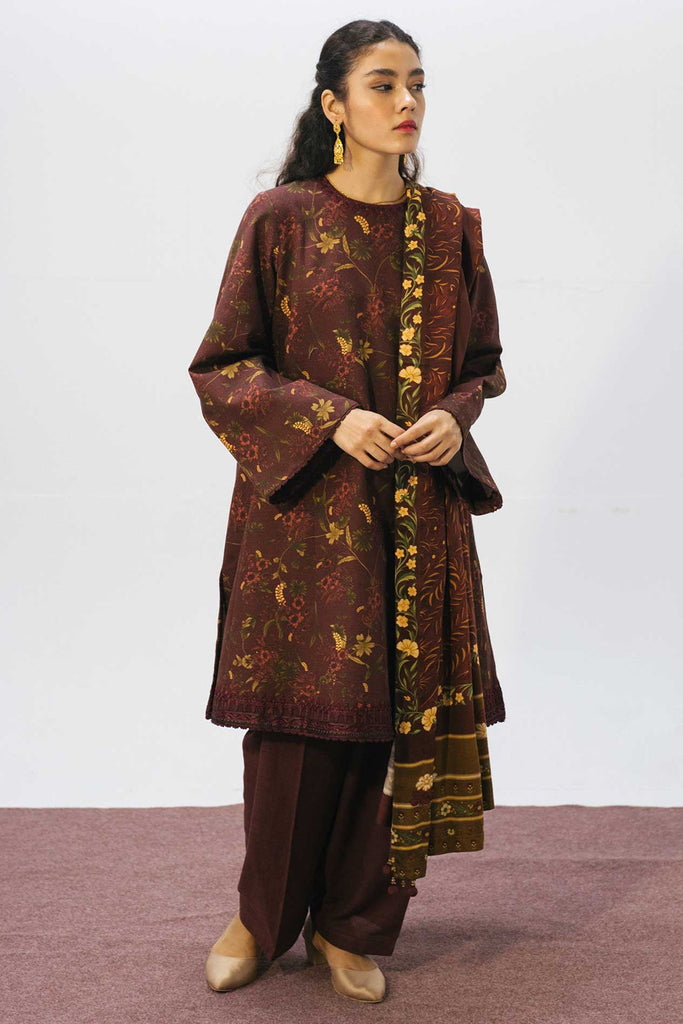Zara Shahjahan Coco Winter Collection 2020 – ZW20-5B
