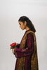 Zara Shahjahan Coco Winter Collection 2020 – ZW20-8A
