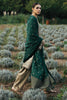 Zara Shahjahan Winter Collection (with Shawl) – Zohra