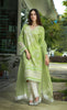 LSM Chikankari Couture Collection  – CC-802