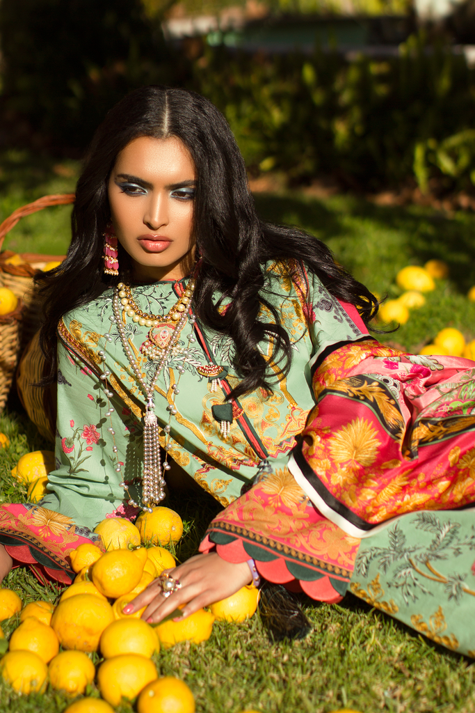 Élan Luxury Lawn Collection 2019 – EL-13 A (ENCANTADA)