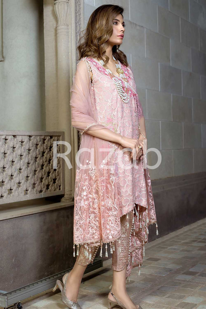 Razab Embroidered Organza Collection Vol 04 - RECC-DESIGN-01-2 main image 1