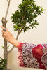 Sana Safinaz Muzlin Lawn Collection Vol-II – M232-003A-CV