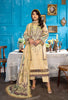 Aangan Printed Lawn Collection – AG-04